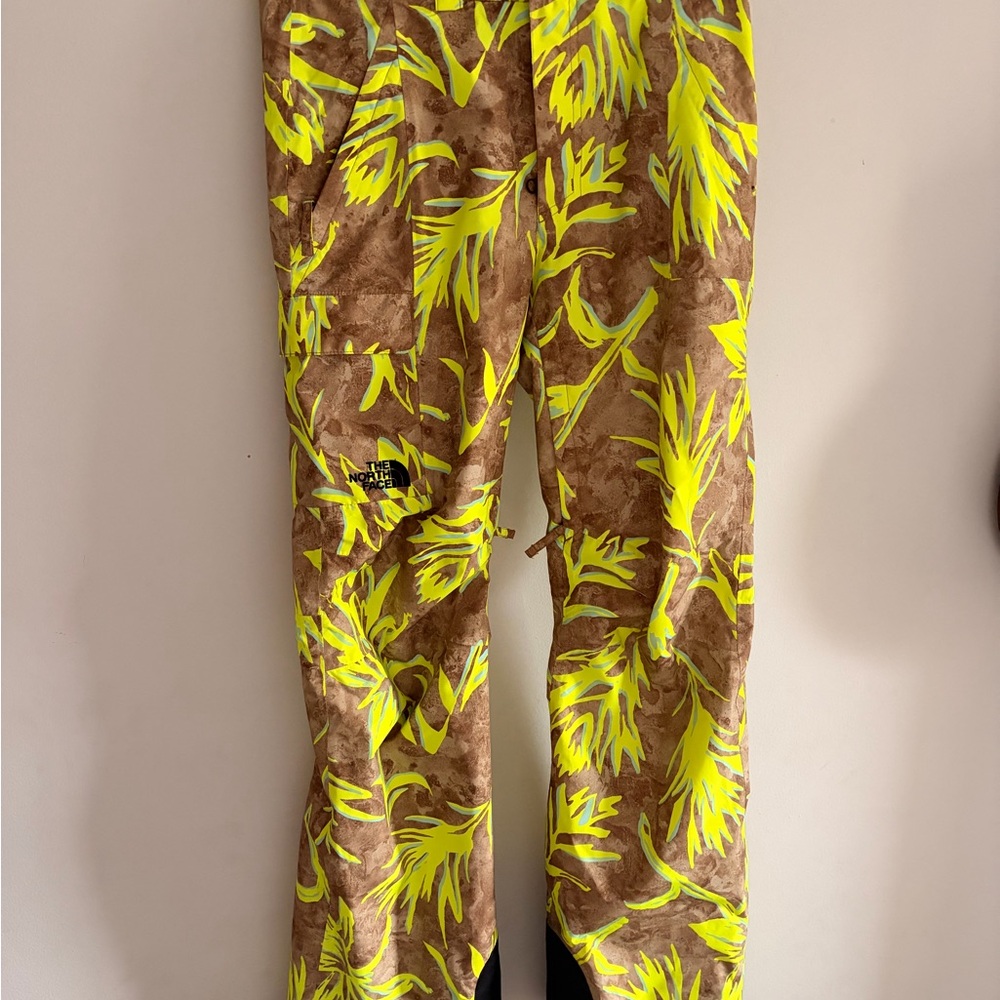 The North Face Men's ski / snow boarding Pants